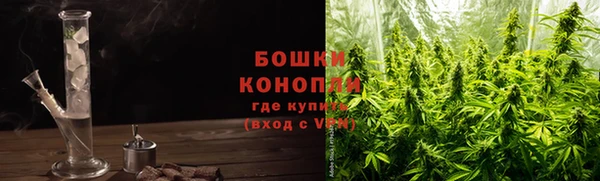 шишки Переславль-Залесский