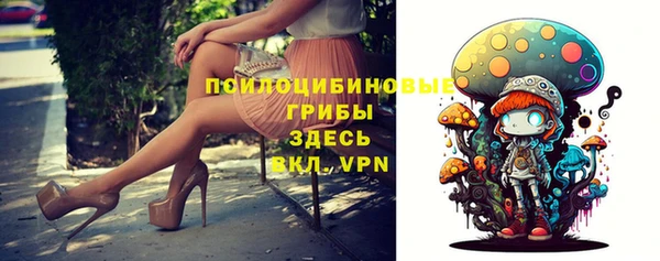 дурь Пересвет