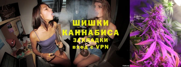 дурь Пересвет