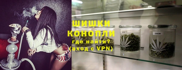дурь Пересвет