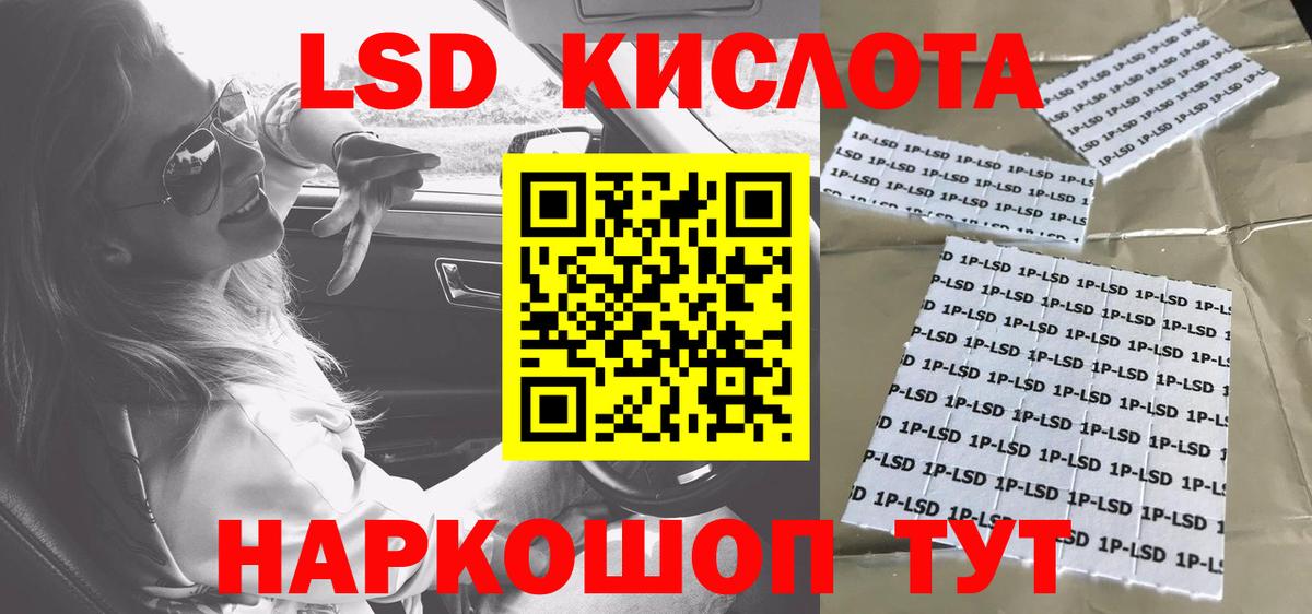 Галлюциногенные грибы Заволжье