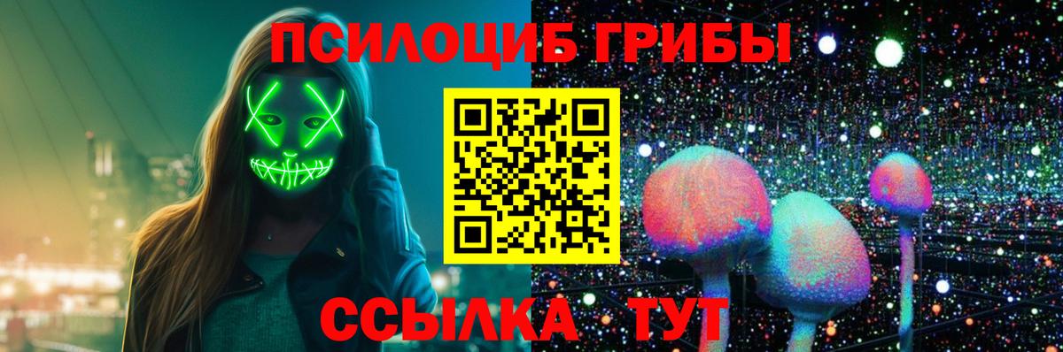 Псилоцибиновые грибы Psilocybe Заволжье