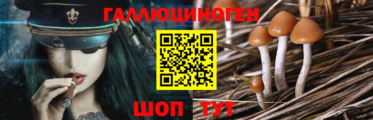 наркошоп  Галлюциногенные грибы Cubensis  Заволжье  Псилоцибиновые грибы MAGIC MUSHROOMS 