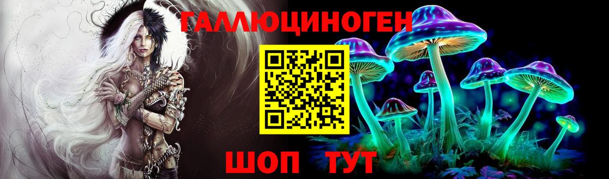 Псилоцибиновые грибы Cubensis Заволжье